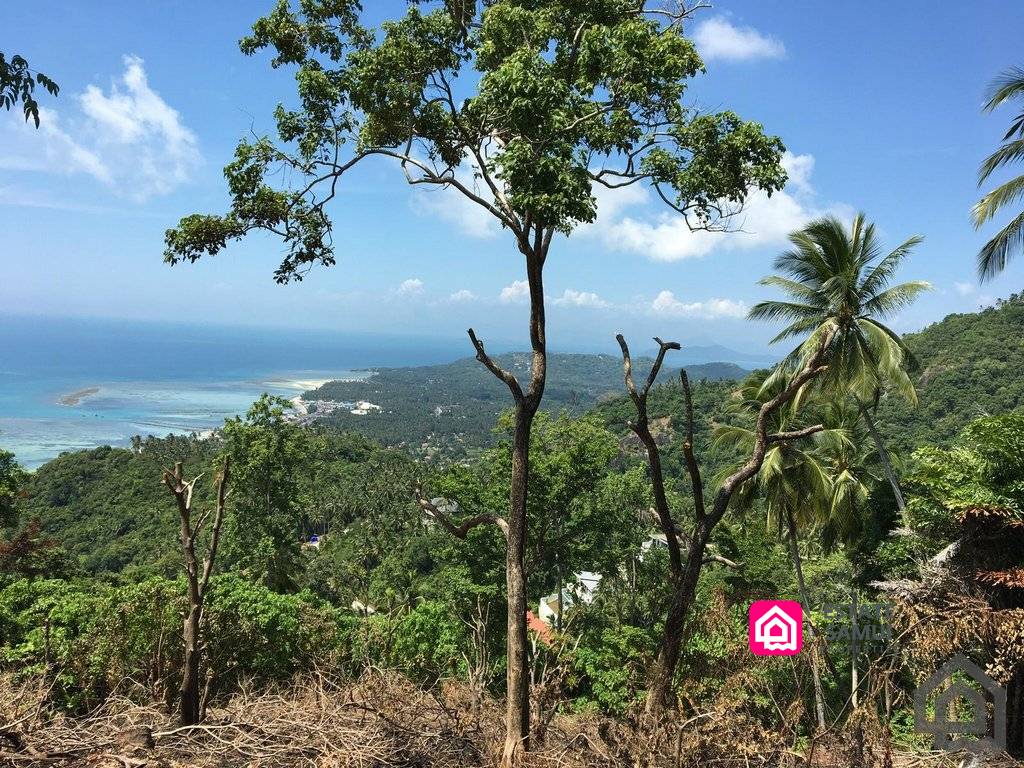 lamai sea view land for sale