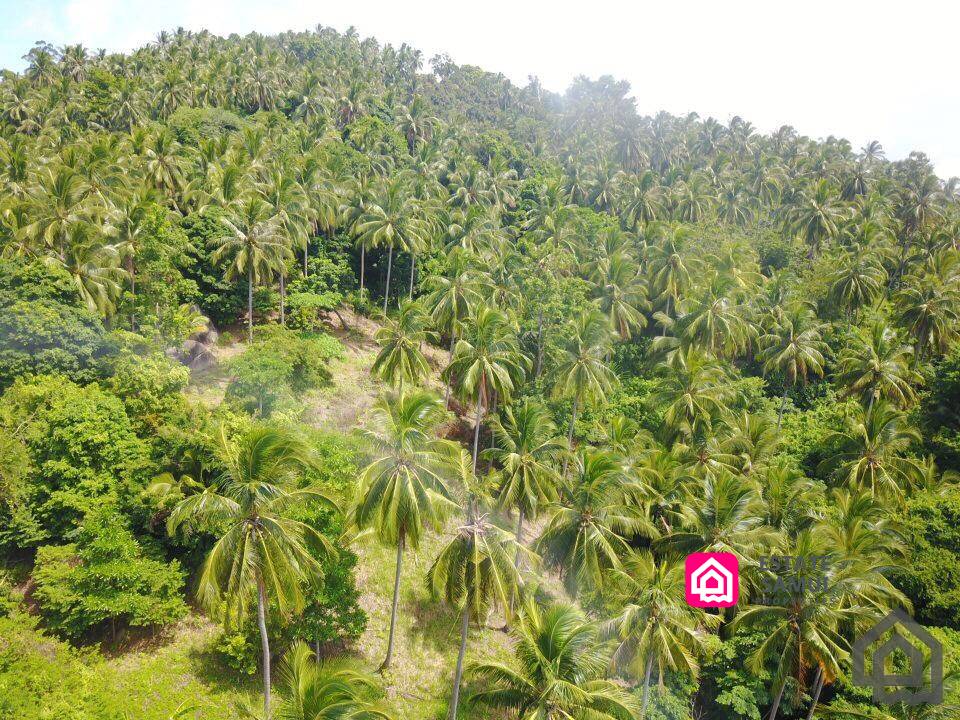 lamai sea view land for sale