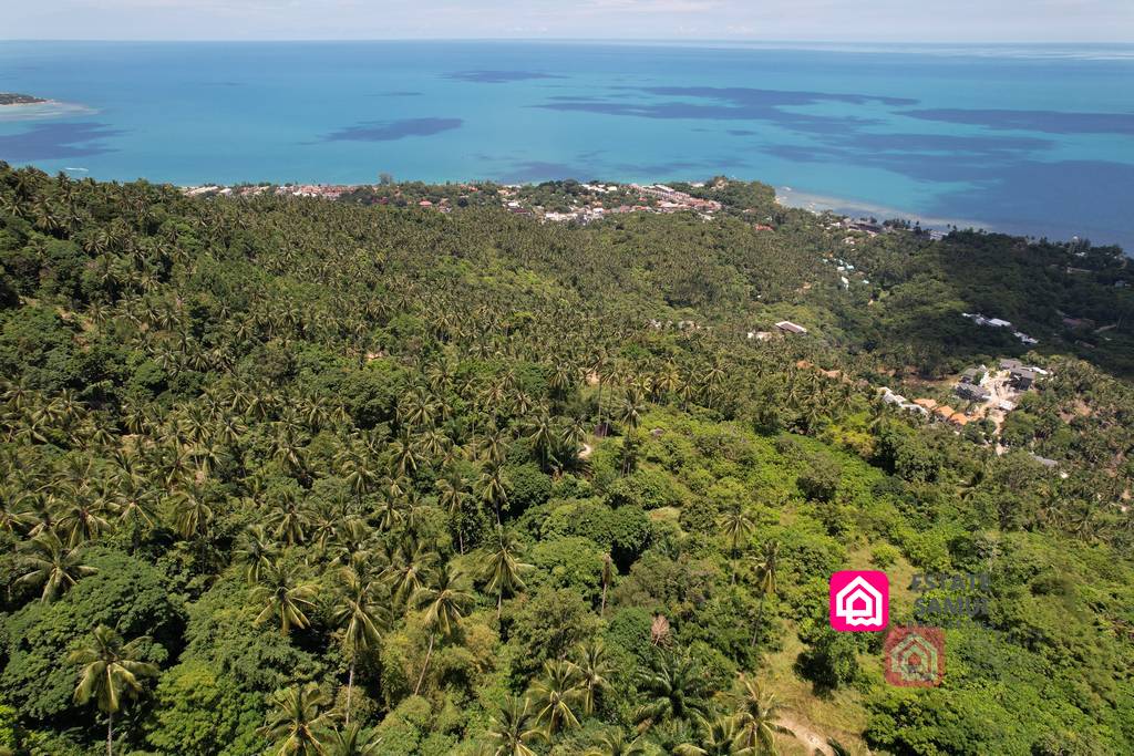 lamai sea view land for sale