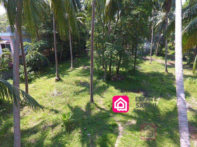 land plot for sale, koh samui