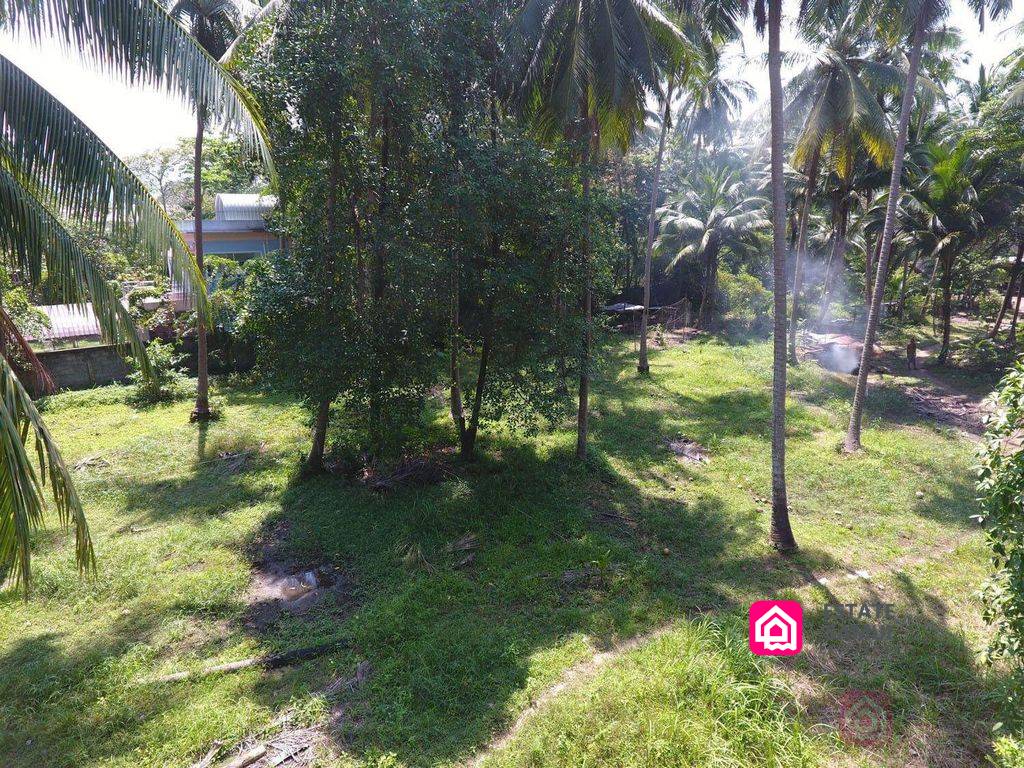 land plot for sale, koh samui