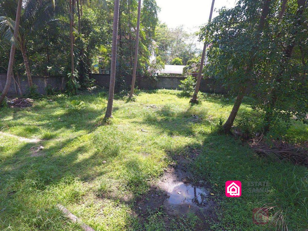 land plot for sale, koh samui