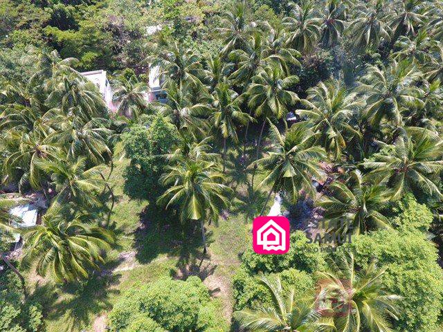 land plot for sale, koh samui