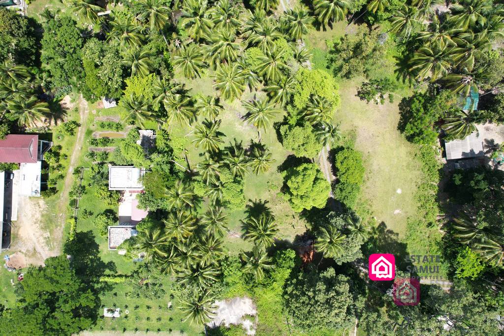 land plot for sale, koh samui