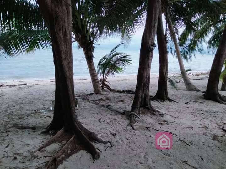 beachfront land plot for sale, koh samui
