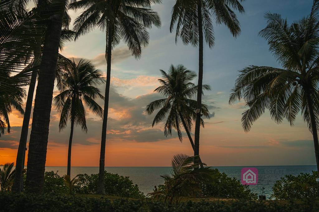 beachside pool villa, koh samui