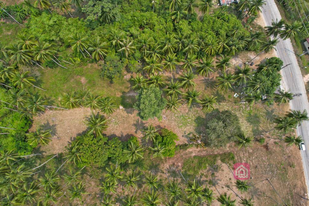 land plot, koh samui