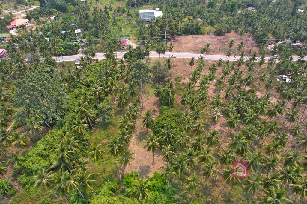 land plot, koh samui