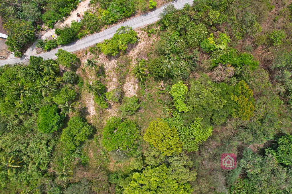 bophut land for sale, koh samui