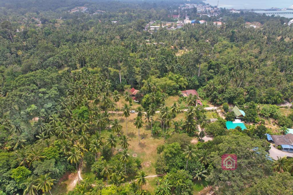 flat land for sale, koh samui