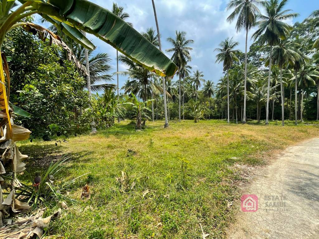 flat land for sale, koh samui