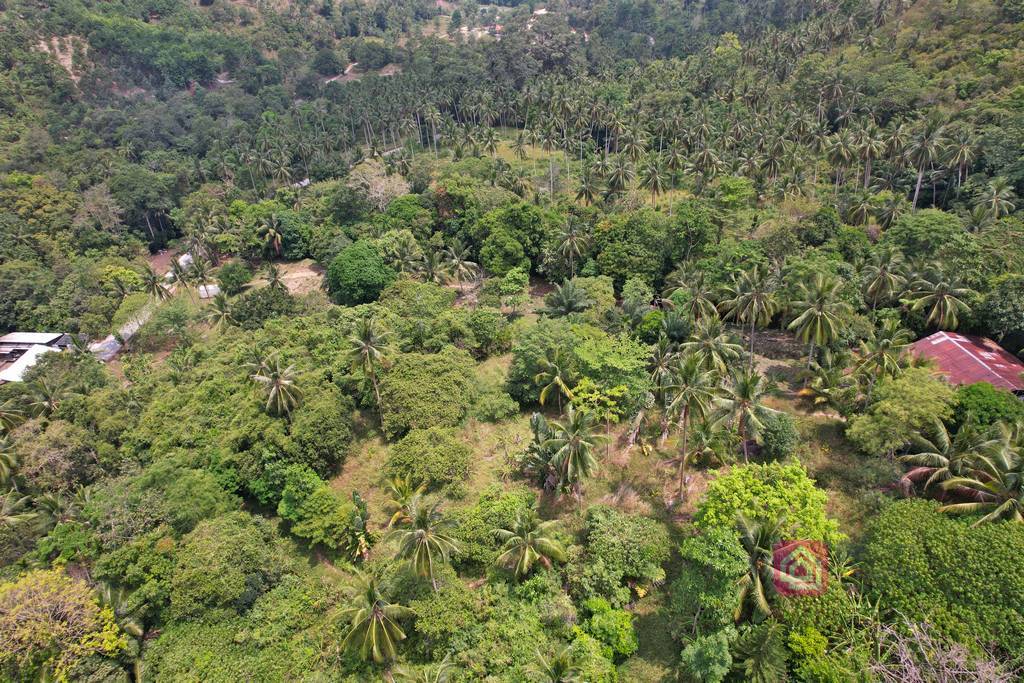 maenam land for sale, koh samui