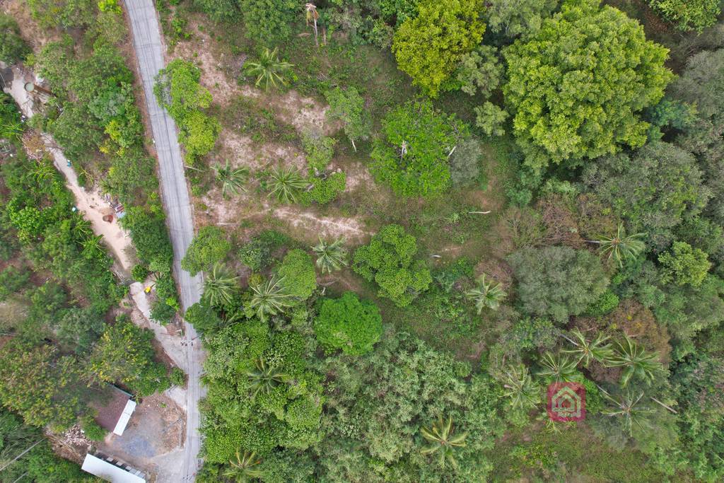 maenam land for sale, koh samui