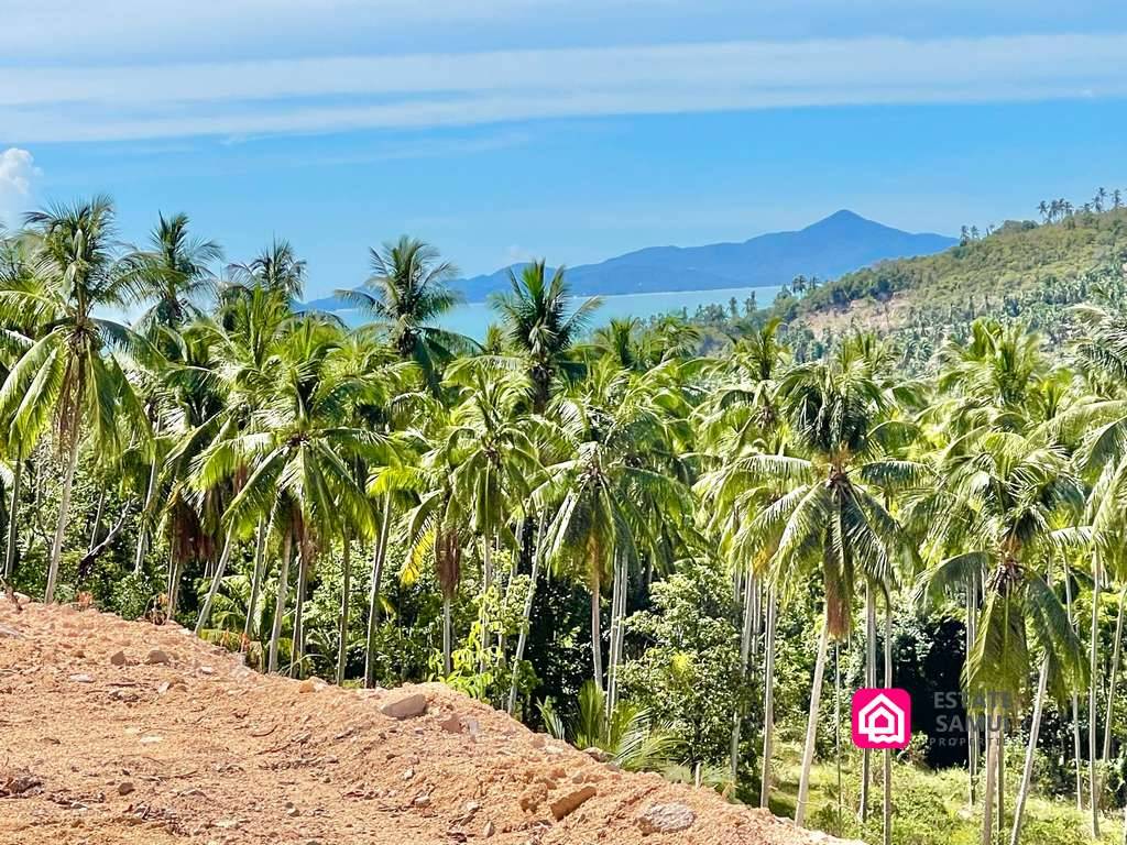 maenam sea view land, koh samui