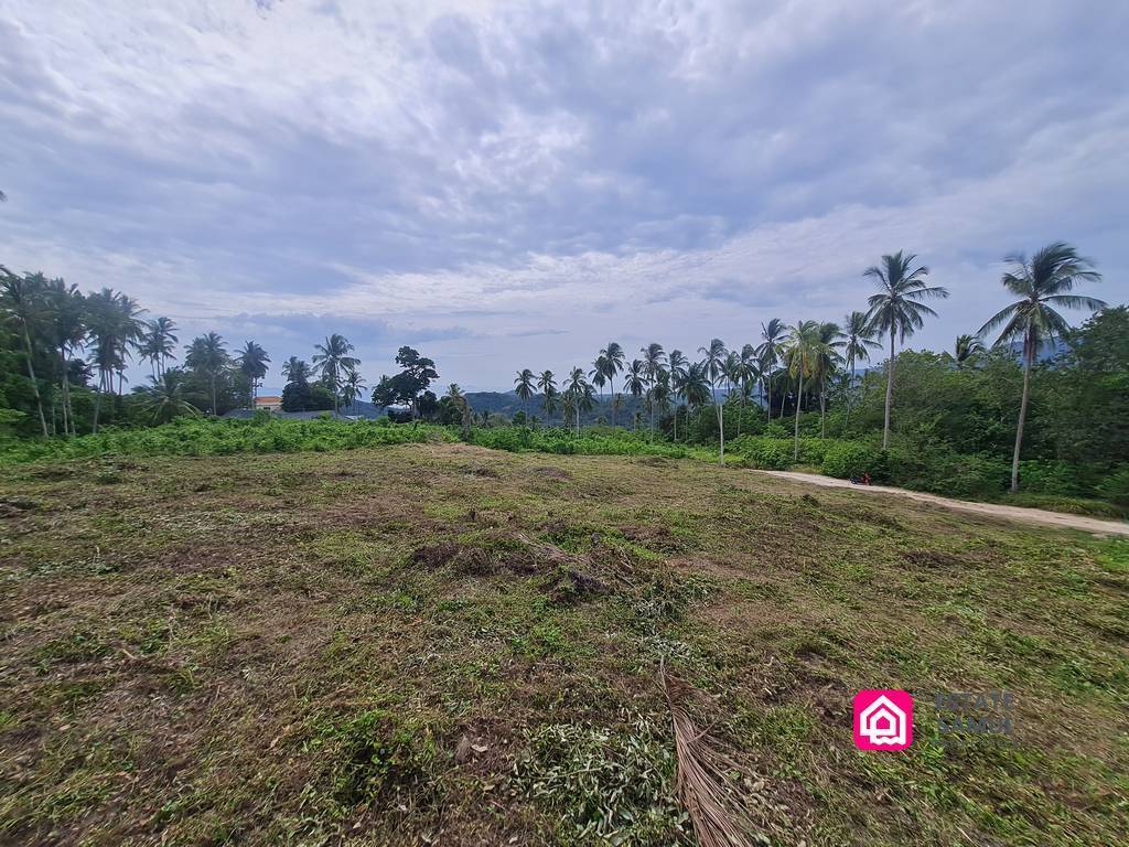 flat land with sea views