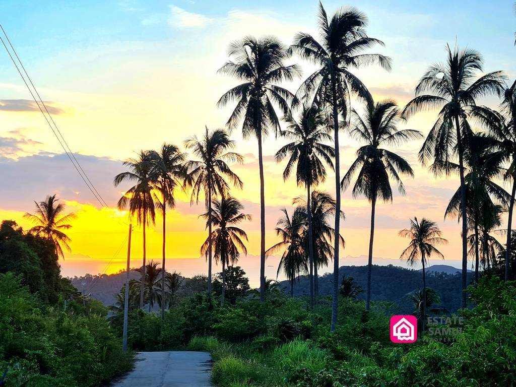 sunset views from the plot