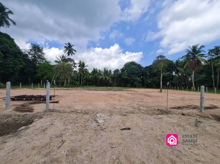 flat coconut grove land