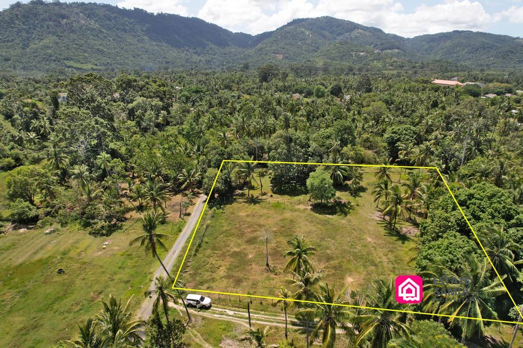 coconut land for sale