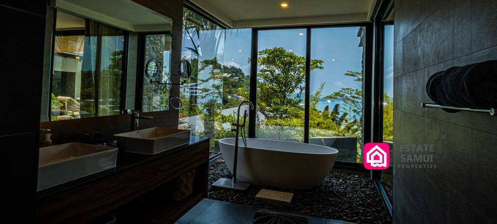 bathtub with a view