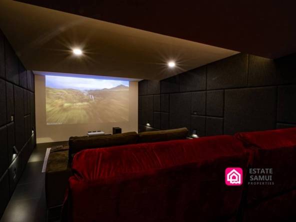 home cinema room