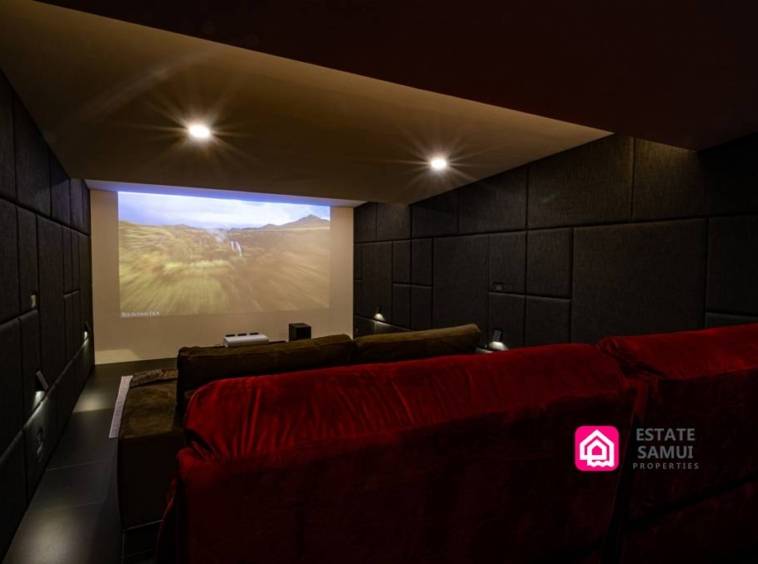 home cinema room