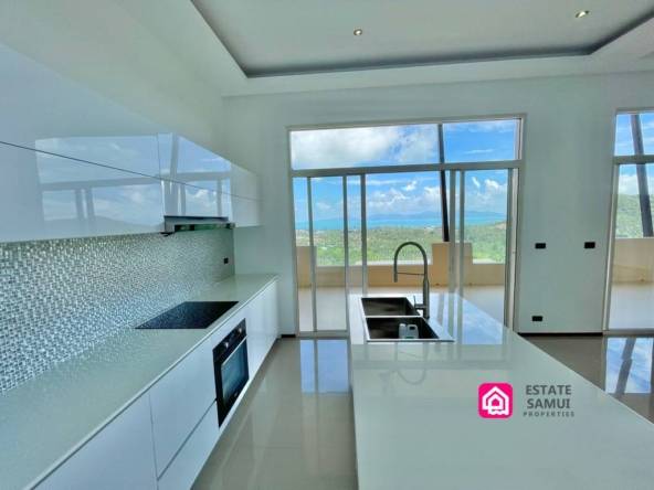 brand new penthouse for sale