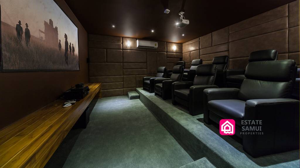 home cinema room option