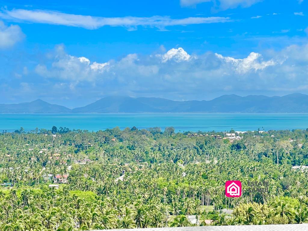 sea and island views