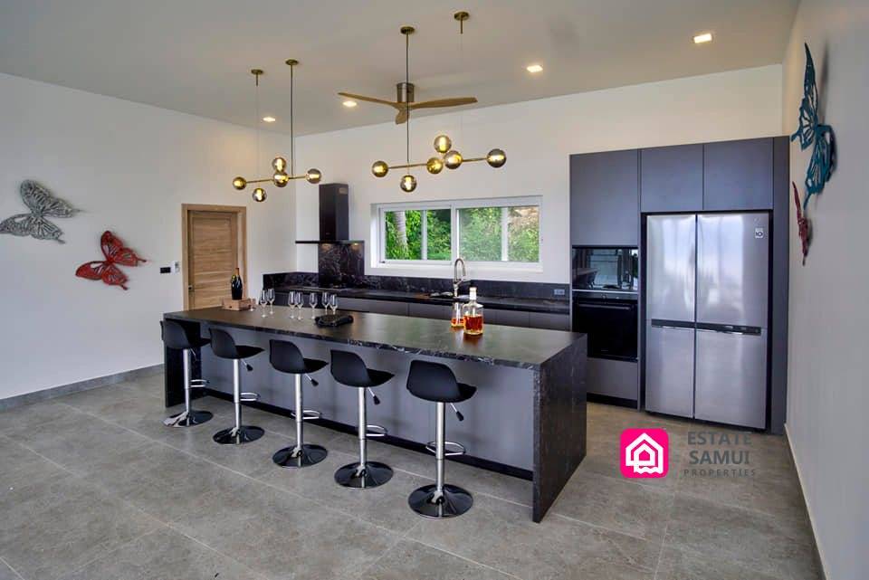 modern spacious kitchen