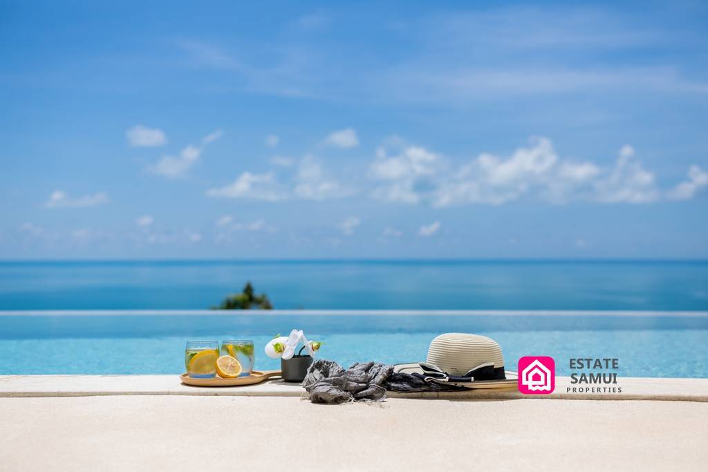 ultimate infinity pool views