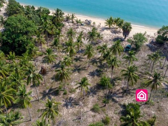 maenam beachfront land for sale