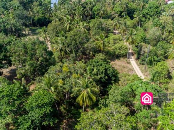 maenam beachfront land for sale