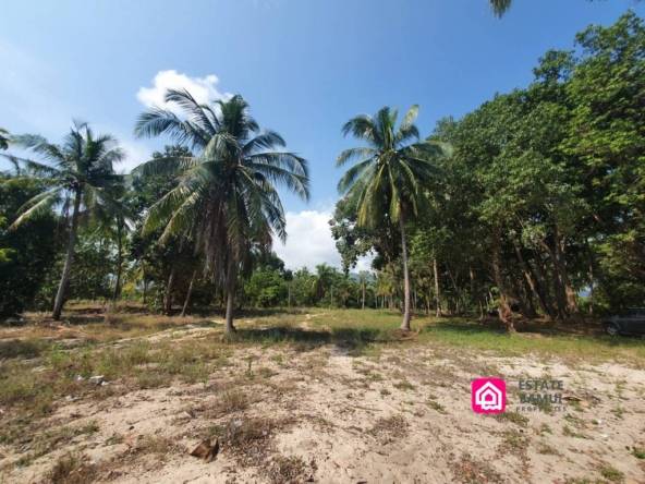 beach land plot for sale, koh samui