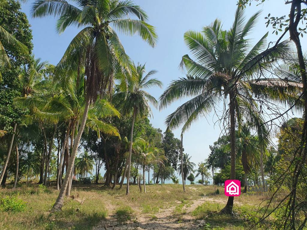 beach land plot for sale, koh samui