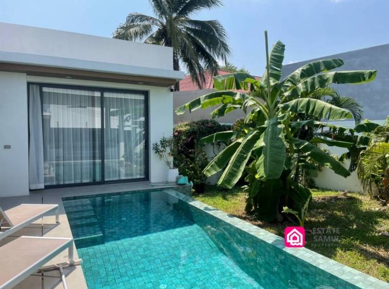 modern pool villa with garden