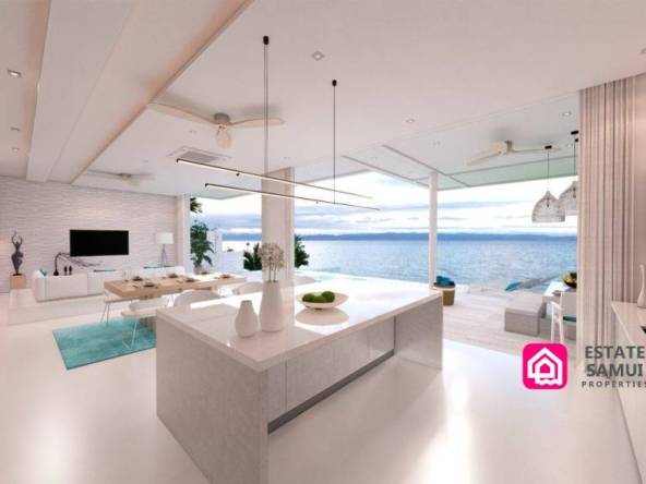 contemporary sea view villas