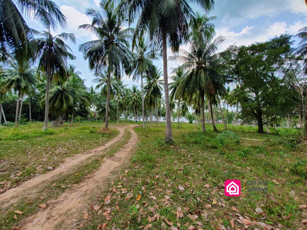 plot beachfront land for sale,