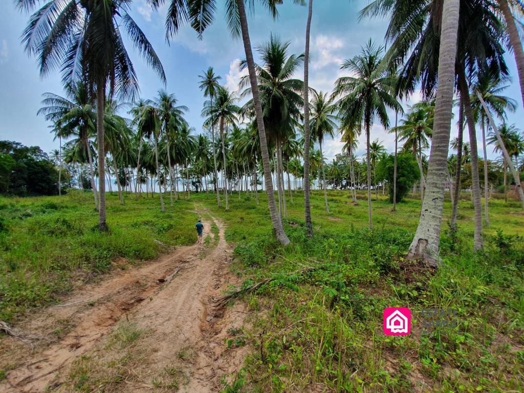 plot beachfront land for sale,