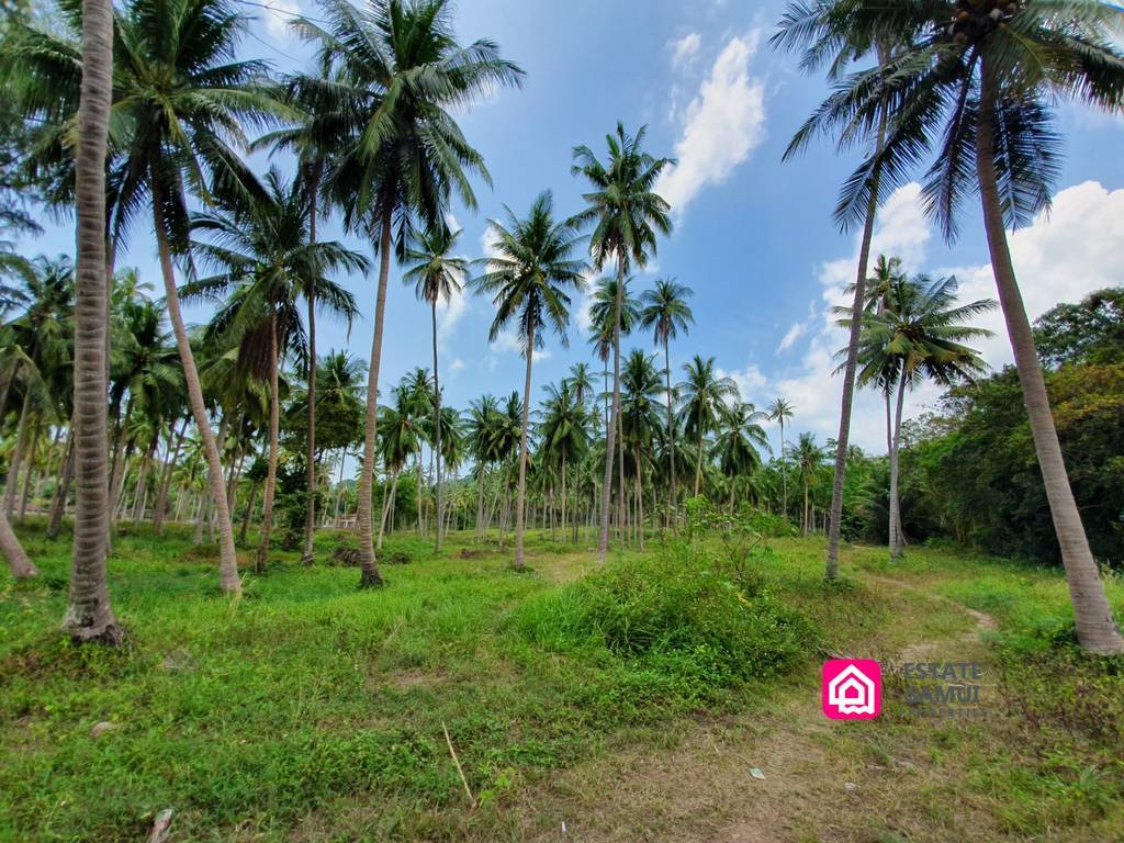 plot beachfront land for sale,