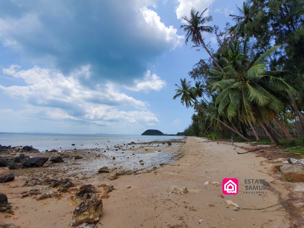 plot beachfront land for sale,