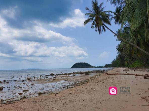 plot beachfront land for sale,