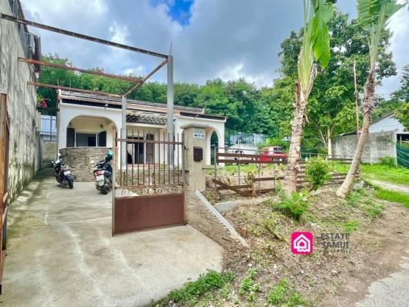 renovation project for sale