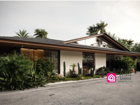 Luxurious Bang Por Villas