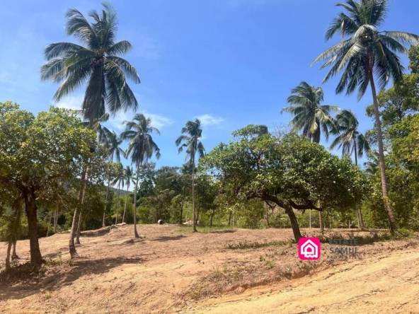 Expansive Maenam Land For Sale