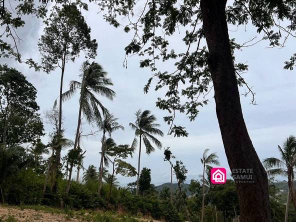 Expansive Maenam Land For Sale