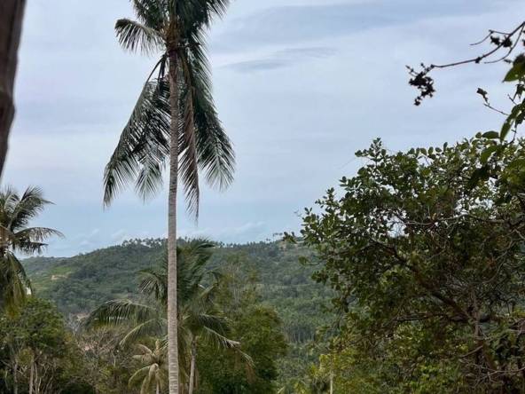 Expansive Maenam Land For Sale