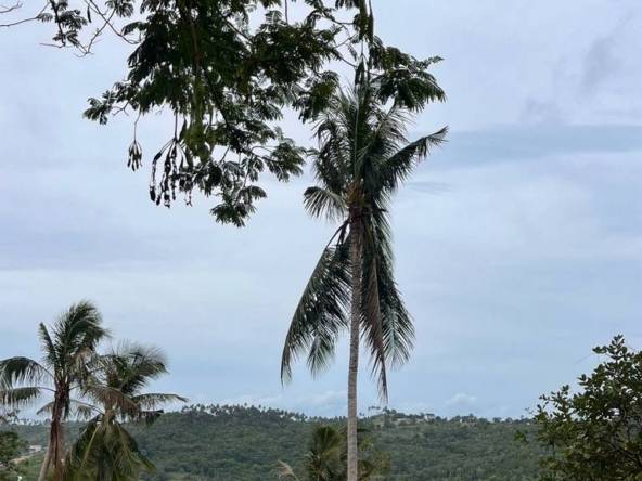 Expansive Maenam Land For Sale