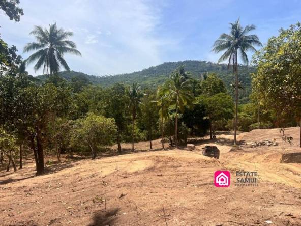Expansive Maenam Land For Sale
