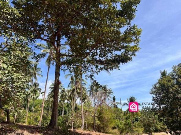Expansive Maenam Land For Sale