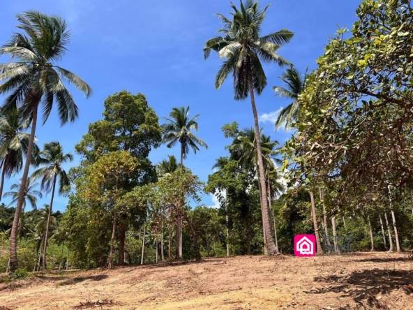 Expansive Maenam Land For Sale